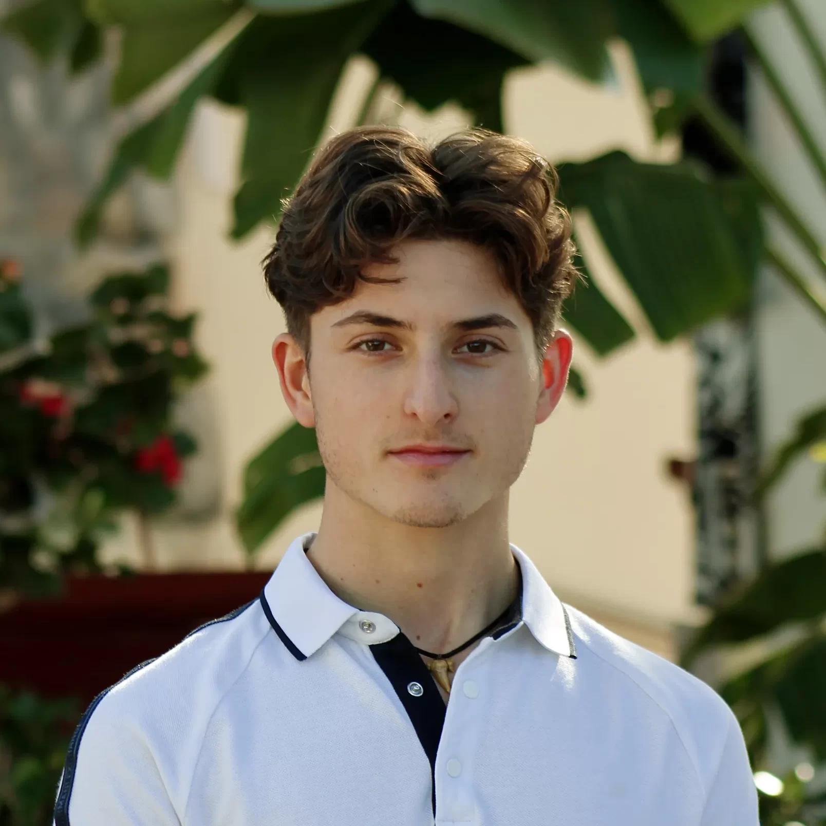 Dimitri Tsolakakis